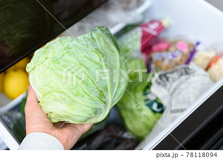 料理のために冷蔵庫からキャベツを取り出す男性の手　野菜室 78118094