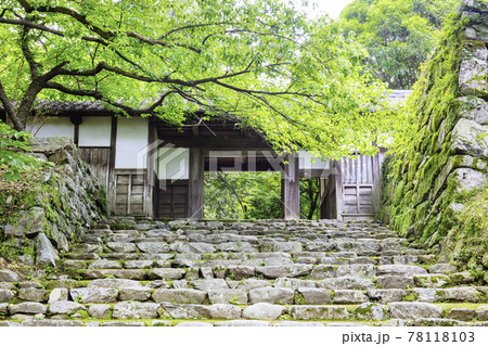 新緑が美しい秋月城跡　長屋門 78118103