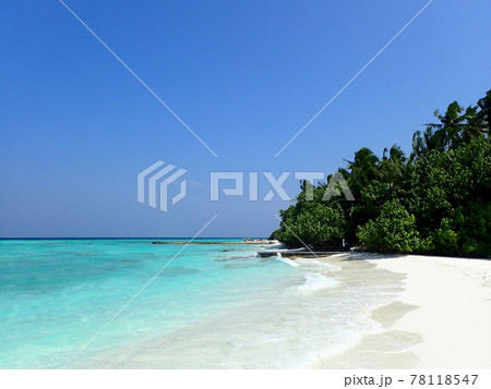 MaldivesMakunuduのビーチ MaldivesMakunuduのビーチ 78118547