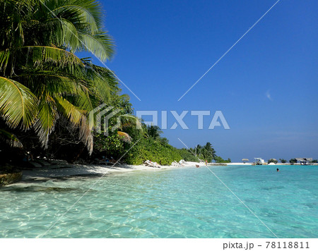 MaldivesMakunuduの休日 MaldivesMakunuduの休日 78118811