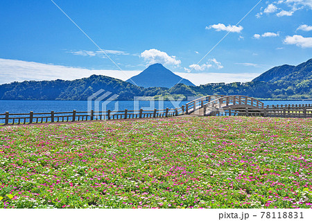【池田湖より開聞岳】 鹿児島県指宿市池田 78118831