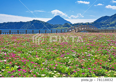 【池田湖より開聞岳】 鹿児島県指宿市池田 78118832
