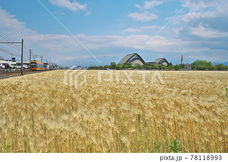 麦秋のLRV 78118993