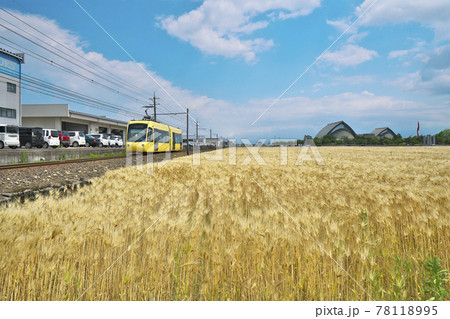麦秋のLRV 78118995