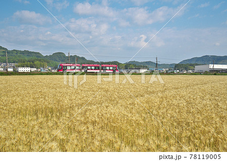 麦秋のLRV 78119005