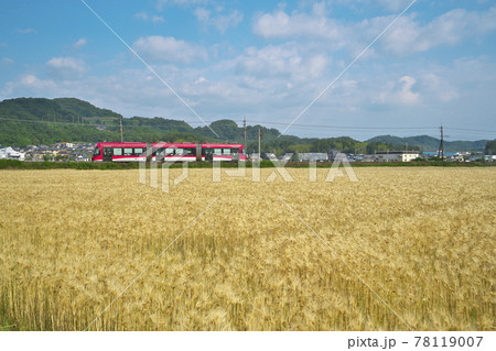 麦秋のLRV 78119007
