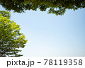 青空と樹木 78119358