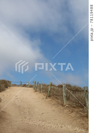 カリフォルニアの高台の散歩道 カリフォルニアの高台の散歩道 78119488