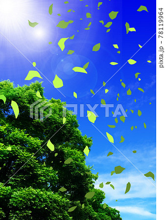 太陽の輝く青空の下で木から舞い散る葉のイラスト2のイラスト素材