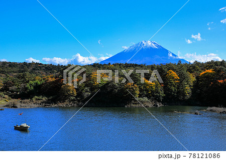 富士五湖 西湖の秋の風景 富士河口湖町 富士五湖 西湖の秋の風景 富士河口湖町 78121086