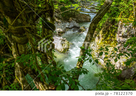 春の大又川絶景 殿淵 秋田県 春の大又川絶景 殿淵 秋田県 78122370