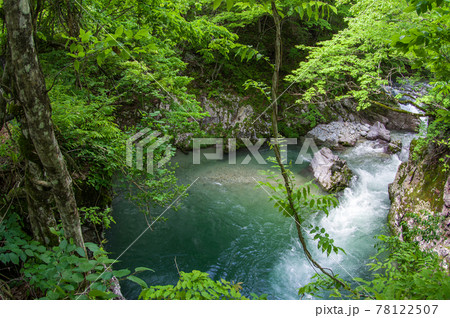 春の大又川絶景 殿淵 秋田県 春の大又川絶景 殿淵 秋田県 78122507
