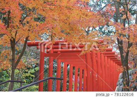 法多山尊永寺内 二葉神社 女性の守り神 法多山尊永寺内 二葉神社 女性の守り神 78122616