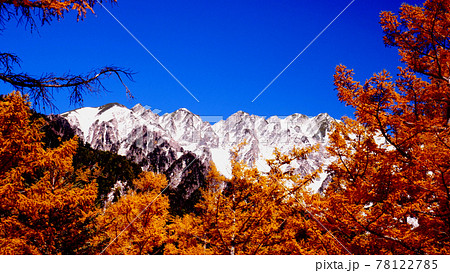 上高地の紅葉 78122785