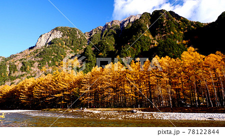 上高地の梓川と六百山の紅葉 78122844