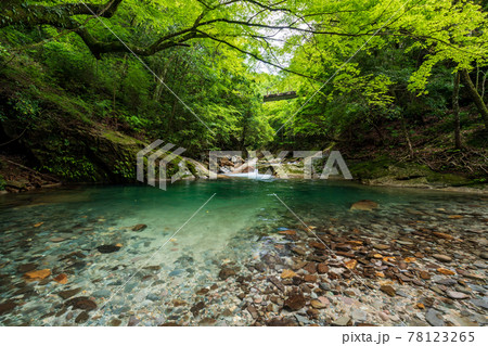 新緑の頃清流岳間渓谷に流れ落ちる滝の風景 新緑の頃清流岳間渓谷に流れ落ちる滝の風景 78123265