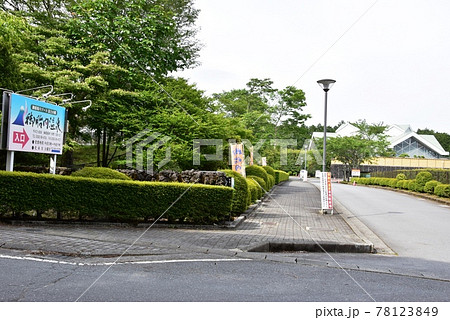 御殿場市 富士山樹空の森 御胎内温泉駐車場入口と新緑 御殿場市 富士山樹空の森 御胎内温泉駐車場入口と新緑 78123849