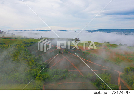 Aerial top view of forest trees with fog mist and green mountain hill at sunset. Nature landscape background, Thailand. Aerial top view of forest trees with fog mist and green mountain hill at sunset. Nature landscape background, Thailand. 78124298