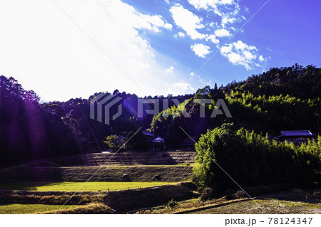 冬の晴れた日に撮影した日本の山中の風景 冬の晴れた日に撮影した日本の山中の風景 78124347