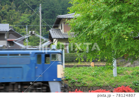 碓氷峠鉄道文化むら_EF63形電気機関車(2021/5/15撮影) 78124807