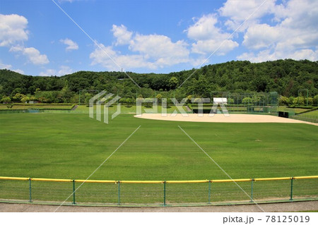 青空と野球場　レフトスタンド 78125019
