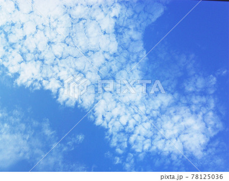 うろこ雲の浮かんだ青空 78125036