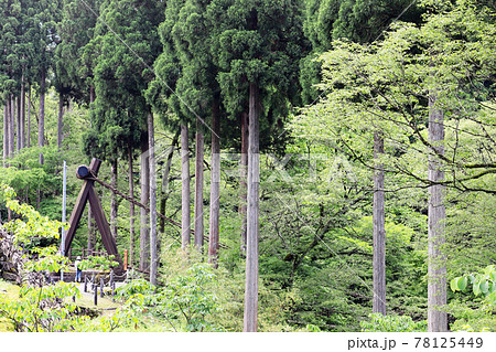 越前池田町のかずら橋（福井県 池田町） 78125449