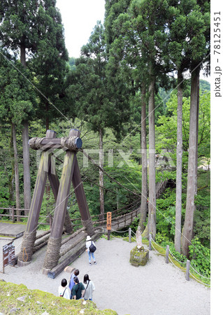 越前池田町のかずら橋（福井県 池田町） 78125451