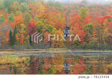 カナダ ローレンシャン高原の紅葉風景の写真素材