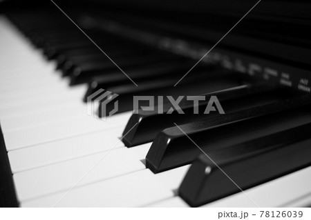 綺麗な音色 綺麗な音色 78126039