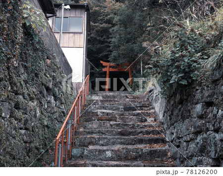 対馬 厳原の街並み 対馬 厳原の街並み 78126200
