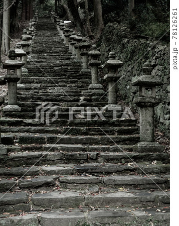 対馬 秋の万松院の参道の階段と石灯籠の風景 10月 対馬 秋の万松院の参道の階段と石灯籠の風景 10月 78126261