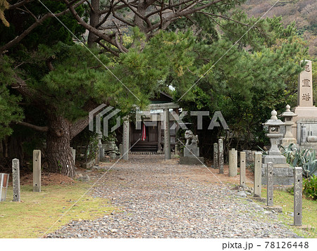 対馬　小茂田濱神社 78126448