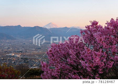 山梨県山梨市 春の山梨県笛吹川フルーツ公園、夕景 山梨県山梨市 春の山梨県笛吹川フルーツ公園、夕景 78128467