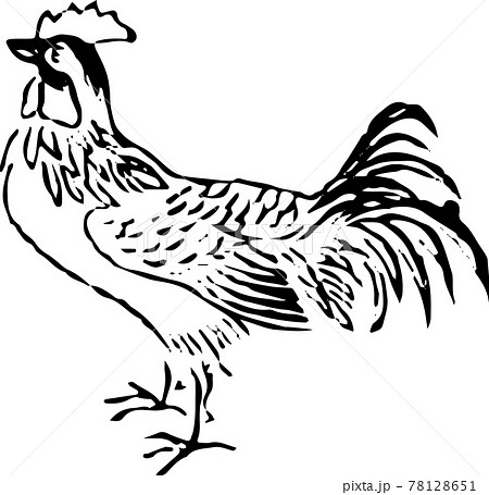 ヘタウマ謎鳥：鶏 78128651