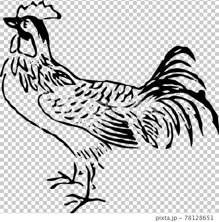 ヘタウマ謎鳥：鶏 78128651