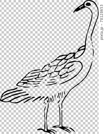 ヘタウマ謎鳥：野雁 78128653