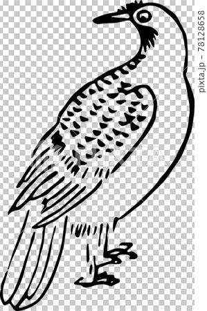 ヘタウマ謎鳥：冠鳥 78128658