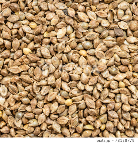 whole-grain barnyard millet seeds close up whole-grain barnyard millet seeds close up 78128779