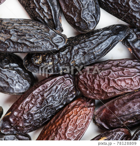 dried tonka beans close up 78128809