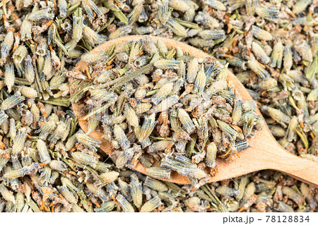 spoon with old dried lavender on dried flowers 78128834