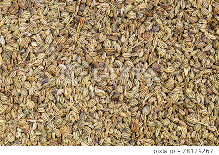 background - many dried Ajwain seeds 78129267