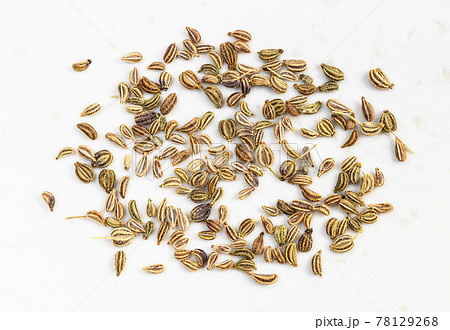 several Ajwain seeds close up on gray 78129268