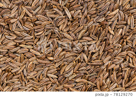background - many dried caraway seeds 78129270