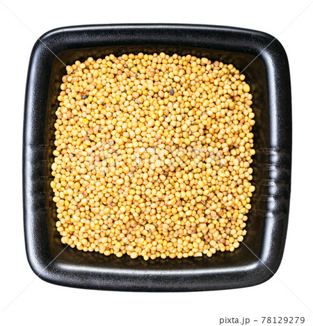 yellow seeds of brassica juncea mustard isolated 78129279