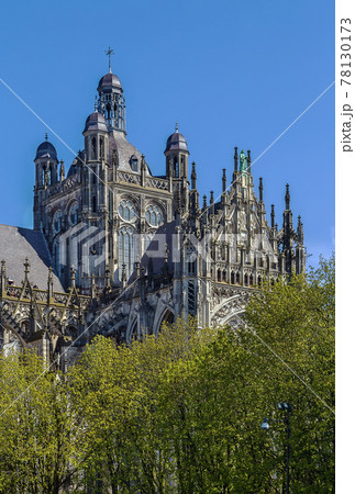 St. John's Cathedral, s-Hertogenbosch, Netherlands St. John's Cathedral, s-Hertogenbosch, Netherlands 78130173