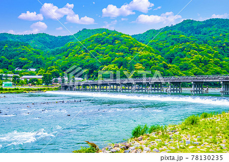 新緑の渡月橋と桂川 78130235