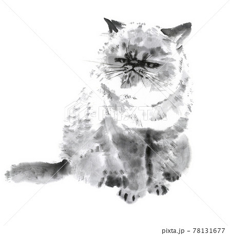 【ポッサム 】　猫ちゃんの似顔絵　水墨画・墨彩　Ｆ６ ブサカワな猫 墨絵イラストのイラスト素材 [78131677] - PIXTA