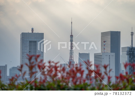 大都会東京のオフィス街と夕暮れ時の雲の隙間からの光芒の風景 大都会東京のオフィス街と夕暮れ時の雲の隙間からの光芒の風景 78132372