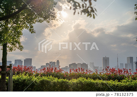 大都会東京のオフィス街と夕暮れ時の雲の隙間からの光芒の風景 78132375